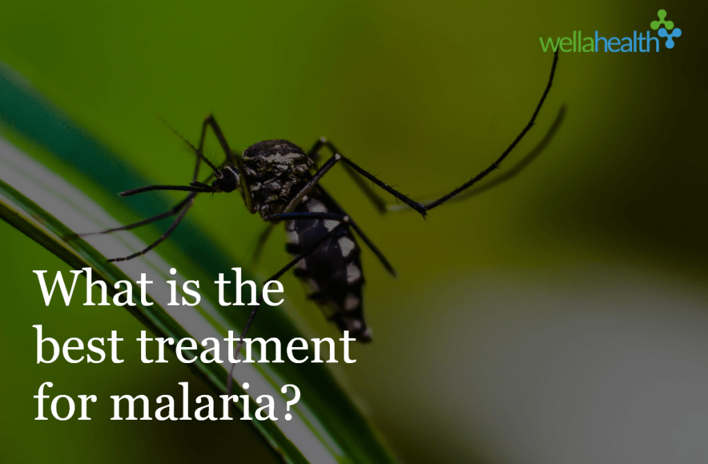 what-is-the-best-treatment-for-malaria-wellahealth