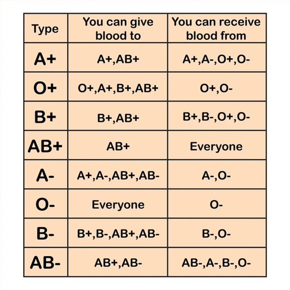 Blood donation: History, Benefits, and Myths - WellaHealth